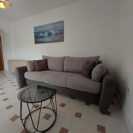 Apartment Elena Vlasici