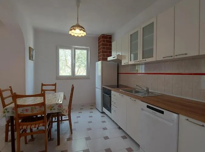 Apartman Elena Vlasici